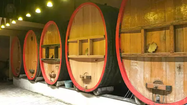 Cultureel uitstapje nabij Colmar
