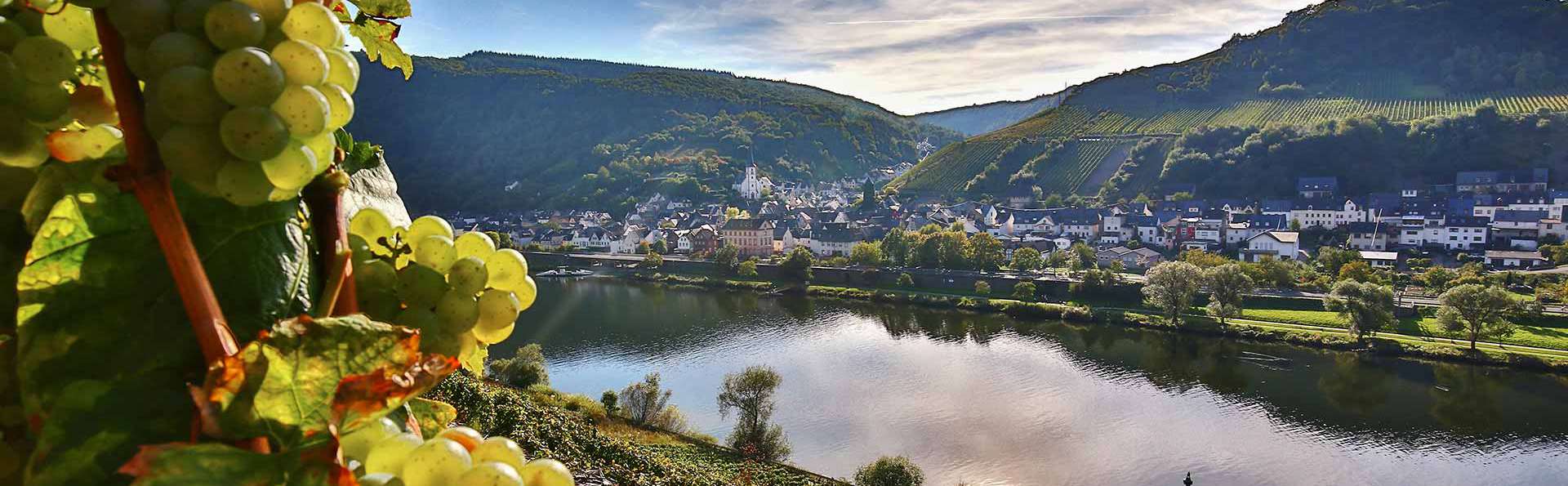 Escapade à la découverte des vins et de la gastronomie du Rhin (2 nuits)