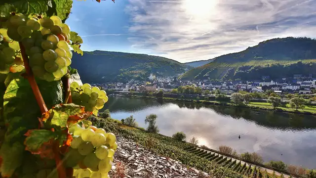 Séjour de découverte dans la vallée du Rhin à Rüdesheim et de ses vins