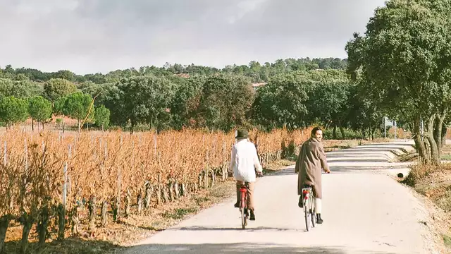 Escapada en Valladolid con exclusiva visita a la Bodega Bela