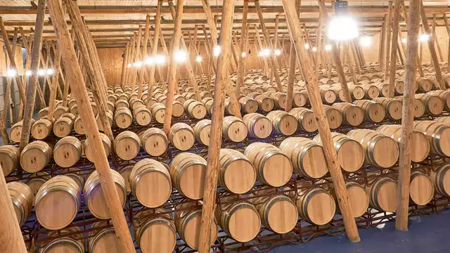 Enoturismo & Relax: Accesso termale e visita alla cantina Bela