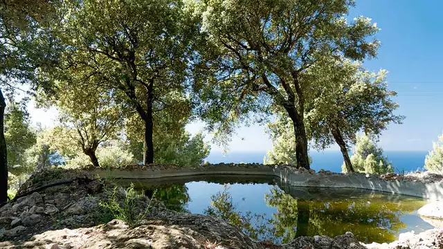 Escapada en Mallorca con desayuno en un entorno inigualable