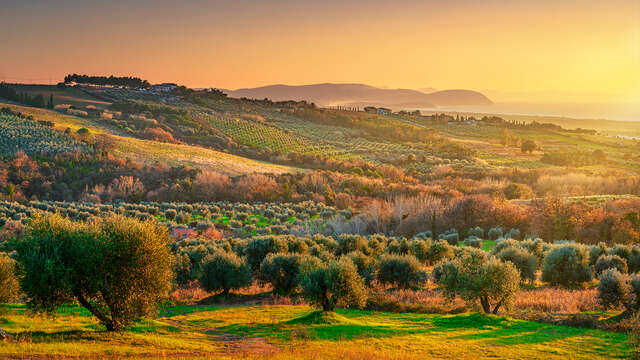 Borgo Verde