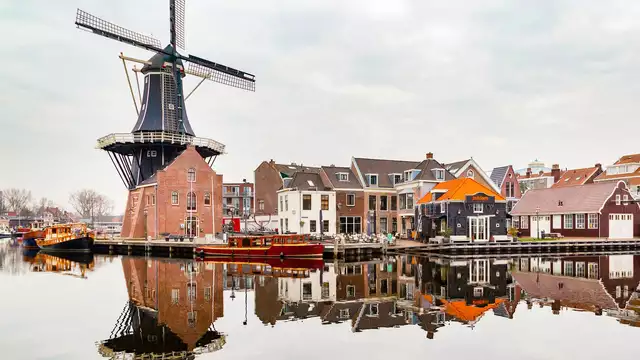 Especial Semana Black: confort y ambiente en Haarlem