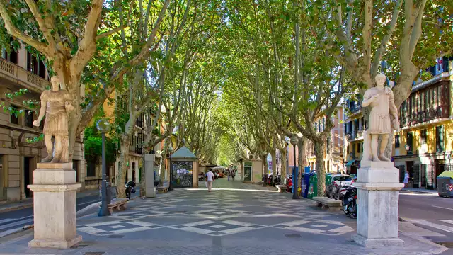 Alójate en pleno centro de Mallorca con un niño incluido