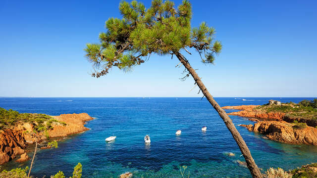 Visite de l’île St Honorat