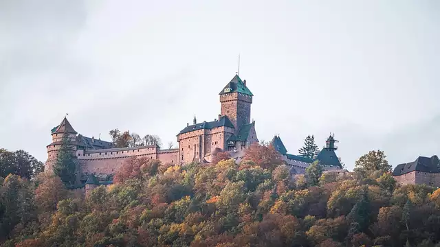 Détendez-vous au coeur de l'Alsace et profitez d'une visite d'un domaine viticole
