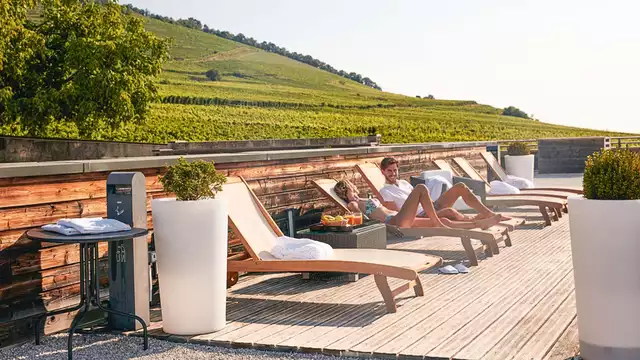 Détendez-vous au coeur de l'Alsace et profitez d'une visite d'un domaine viticole