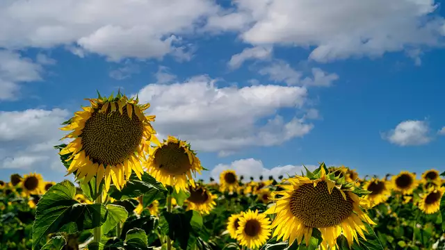 Détendez-vous dans la campagne près de Salamanque