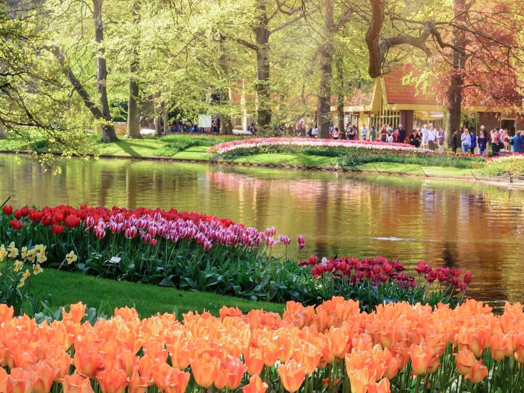 Verblijf tussen Utrecht en Amsterdam met toegang tot Keukenhof (3 nachten) - 4* - 15