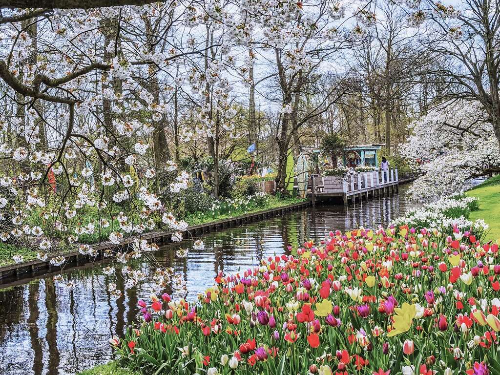 Une bouffée d'air frais à la côte et un repas culinaire avec une excursion d'une journée à Keukenhof - 4* - 1