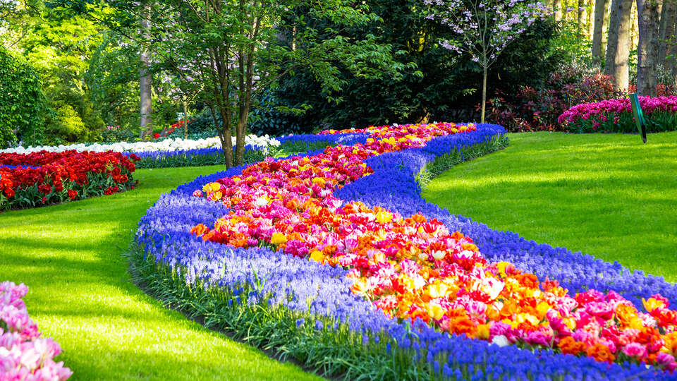 Week-end romantique a La Haye avec visite du Keukenhof