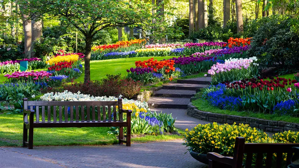 Sejour de luxe avec spa a La Haye et entree a Keukenhof