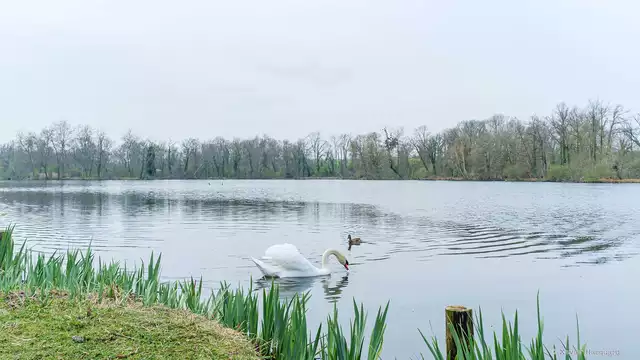 Estancia con masaje junto a un lago de ensueño