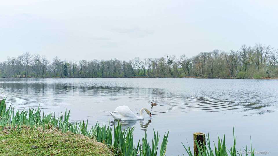 Escapade gourmande face au lac proche de Paris