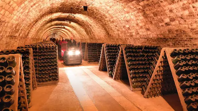 Iconic Tour de Bodegas Codorniu durante tu estancia en Tarragona