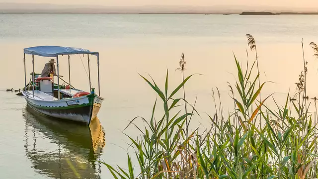 Disfruta de un paseo en barca en la Albufera de Valencia