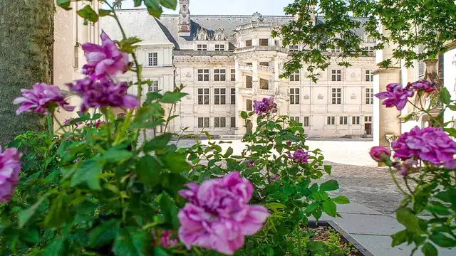 Séjour en studio avec visite du Château de Blois