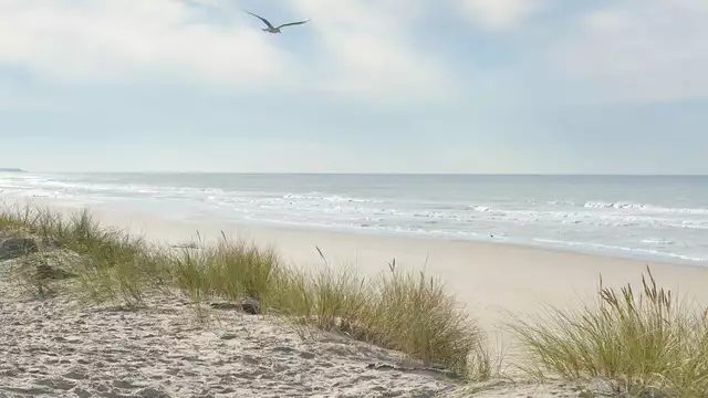 Soggiorno gastronomico in famiglia a Le Touquet!