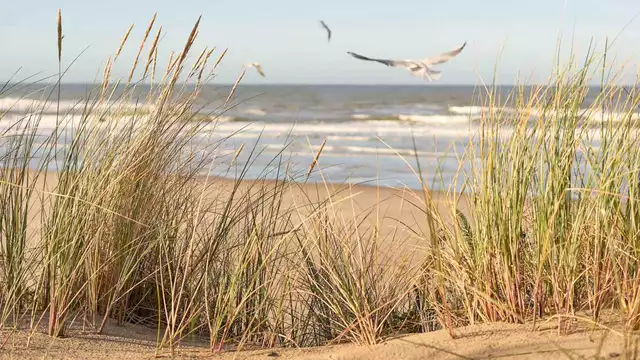 Fuga superior con accesso spa a Le Touquet