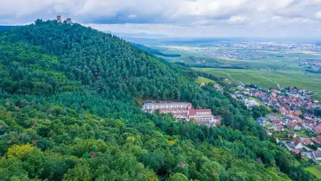 Relajación y zonas verdes cerca de Colmar con acceso al spa 4*