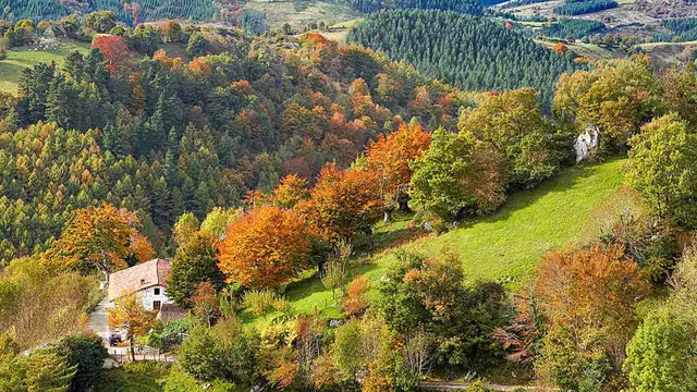 Escapada romántica en plena naturaleza vasca con bombones y copa de bienvenida