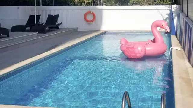 Escapada de bienestar con masaje de 55 minutos en el corazón de Cannes