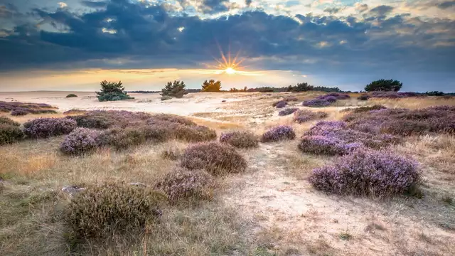 Scopri la splendida natura della Veluwe e gusta una deliziosa cena