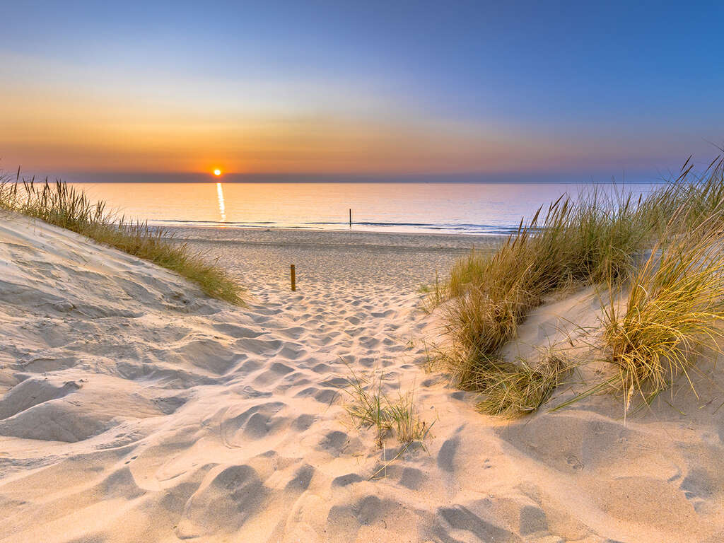 Profitez d'une belle promenade le long des dunes de la côte zélandaise - 4* - 1