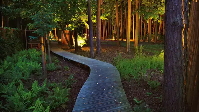 Weekend romantique avec spa oasis privé dans la Kempen