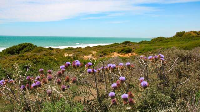 Apartamento para dos personas a pocos minutos de la playa de la Barrosa