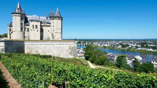 Weekend à Saumur et excursion inoubliable à travers la Loire