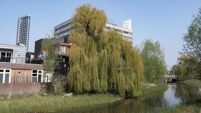 City trip attraverso la vivace Eindhoven