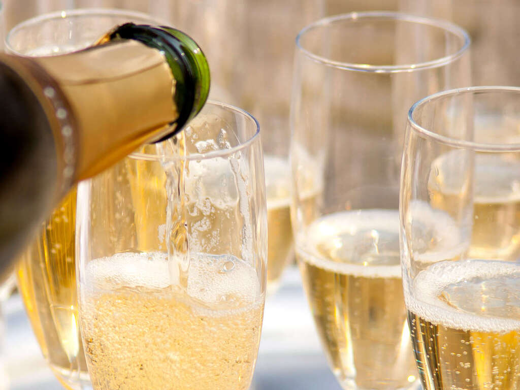 Plaisirs culinaires dans les dunes près d'Alkmaar - 4* - 20