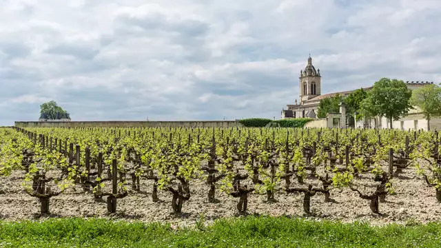 Estancia al corazón de un famoso viñedo de Burdeos