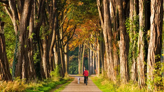 Romantisch weekend weg in de natuur van de Gelderse Achterhoek