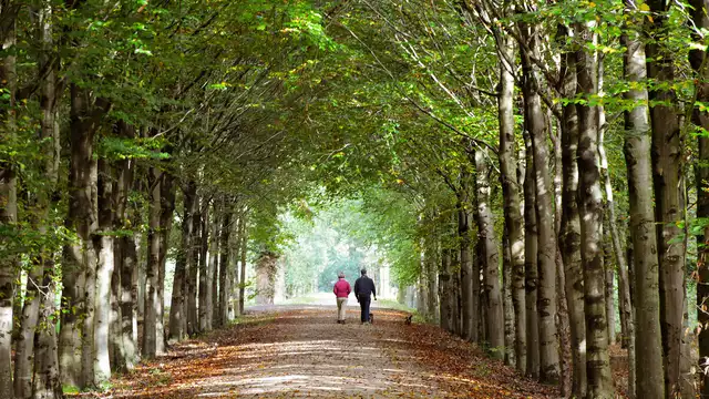 Un week-end de belles randonnées dans le Limbourg méridional