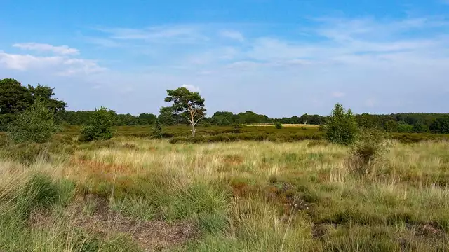 Riposo e tranquillità nei Paesi Bassi