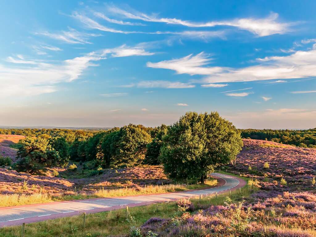 Passe la nuit dans la région boisée de la Veluwe - 3*