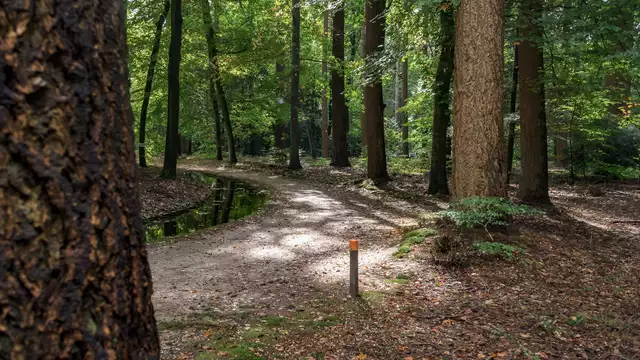 Sumérgete en la naturaleza de Veluwe