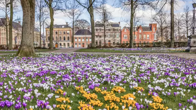 Heerlijk verblijf in het noorden van Nederland