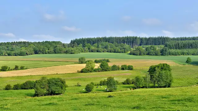 Estancia en un entorno de ensueño en Bélgica, en el Modulor