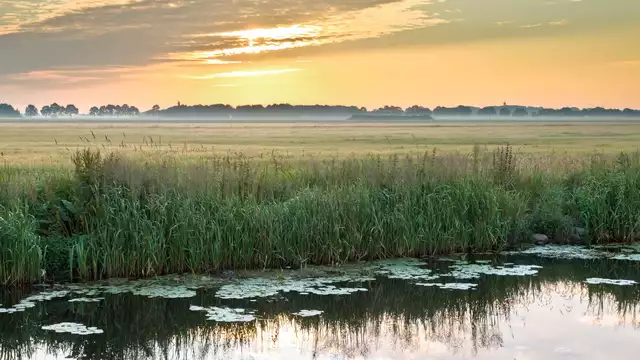 Ontdek een schilderachtige omgeving in de buurt van Assen