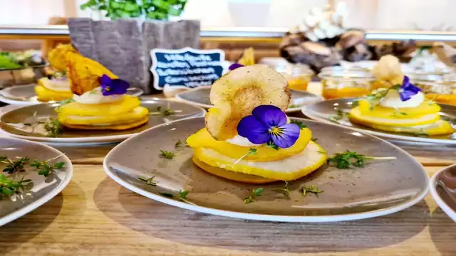 Séjour de luxe avec dîner et spa illimité dans une chambre de luxe et un écosystème naturel unique