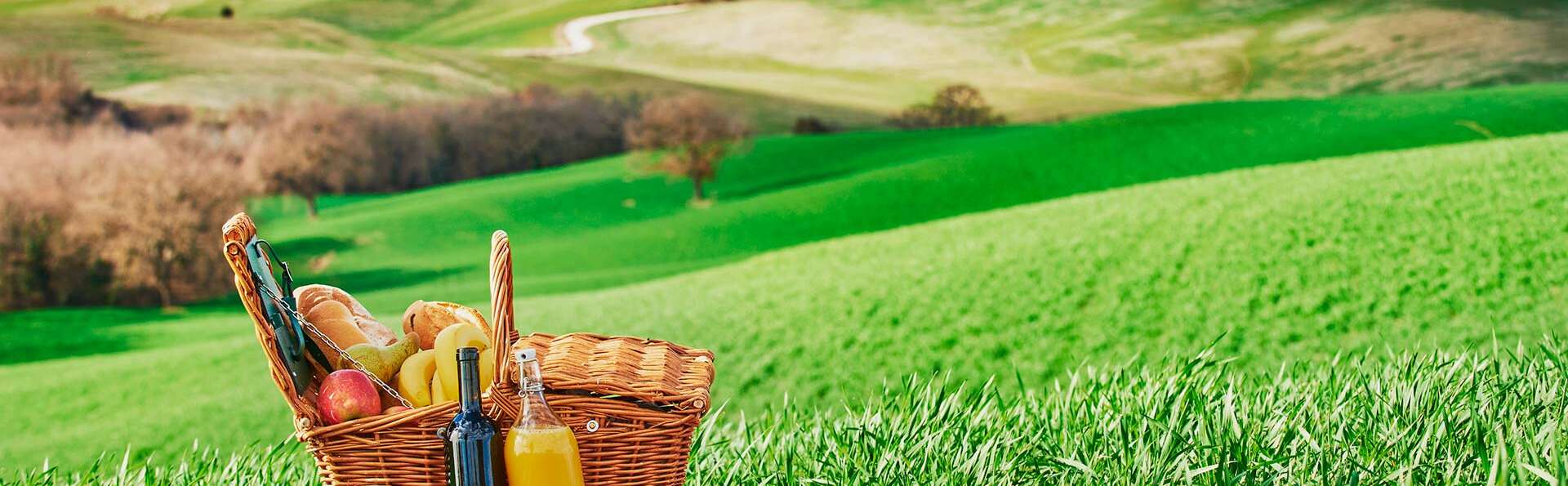 Escapada con desayuno, alquiler de bicicletas y picnic para disfrutar en la sierra de Gredos