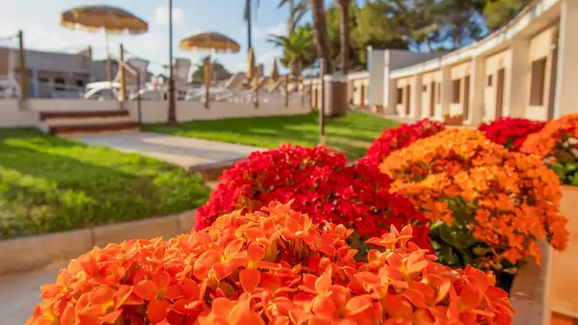 Romantisch uitje aan de Costa Blanca met halfpension