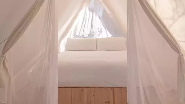 Perfect uitje in een chique tent, in Santa Cristina d'Aro