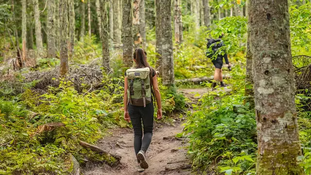 Geniet van de natuurlijke schoonheid van Wallonië met deze speciale wandelaanbieding