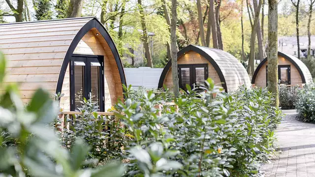 Bijzonder verblijf in een boslodge inclusief een 3-gangenwilddiner