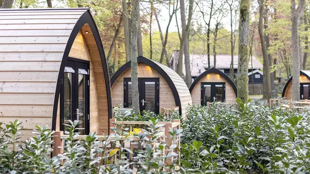 Pernottamento in un lodge nella foresta sul Veluwe (2 notti)